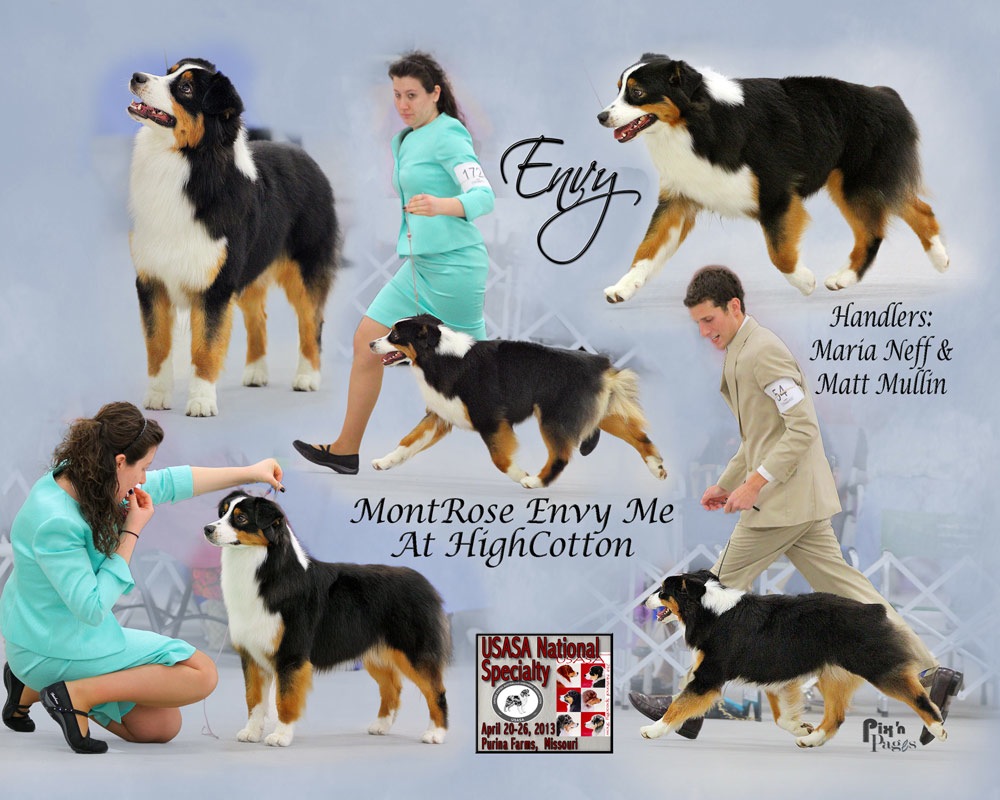 USASA National Specialty 2013 Purina Farms HighCotton